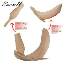 The Location of the Clitoris: A Guide to Female Anatomy