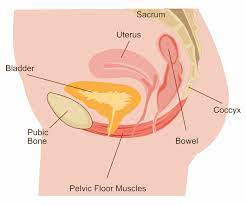 Trimming Belly Pouch Fat: A Comprehensive Guide