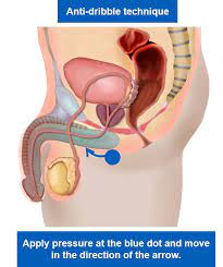 The Importance of Clitoral Health and Pleasure: A Comprehensive Guide